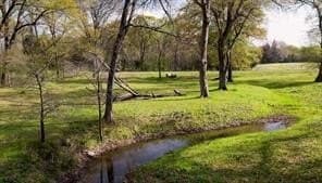5 acres in Fannin County - photo 12
