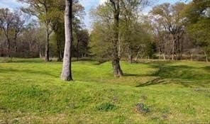 5 acres in Fannin County - photo 13