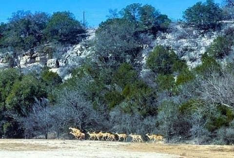 10.05 acres in Kimble County