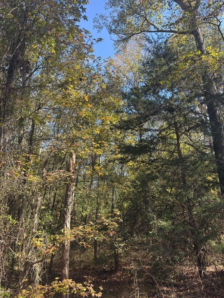 3.29 acres in ANDERSON County - photo 10