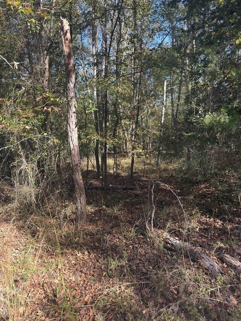 3.29 acres in ANDERSON County - photo 11