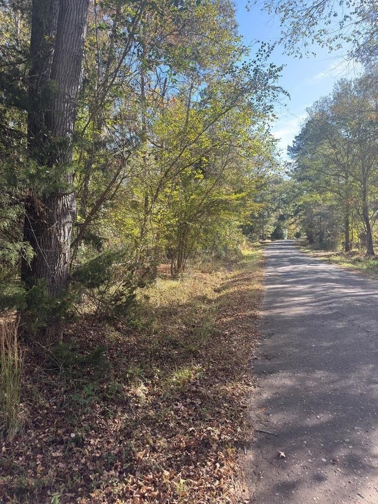 3.29 acres in ANDERSON County - photo 12