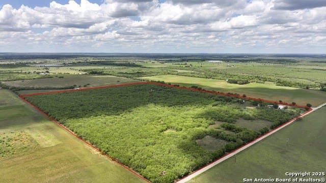 74.55 acres in Gonzales County gallery image 3