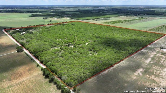74.55 acres in Gonzales County gallery image 2