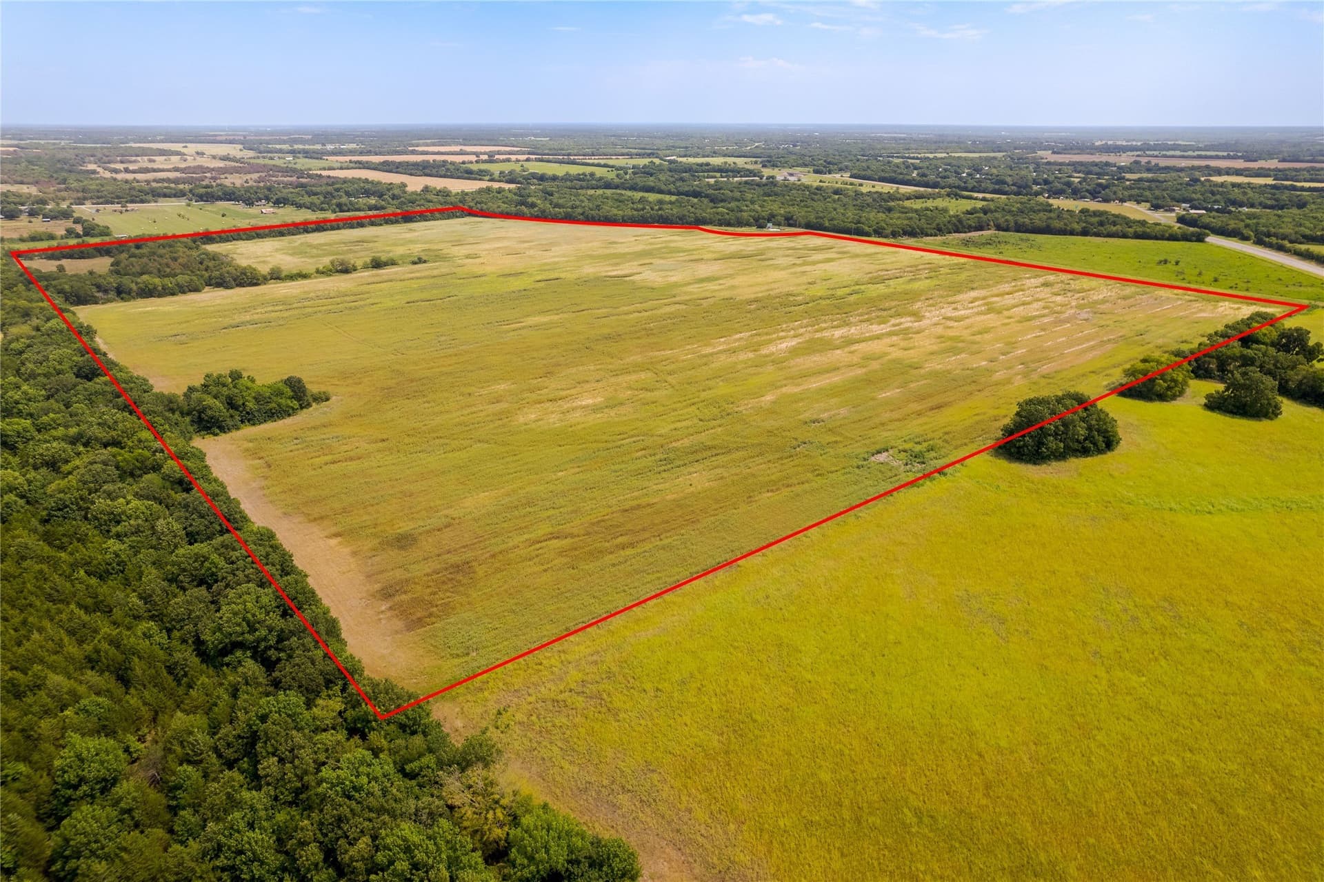 124.31 acres in Fannin County - photo 6