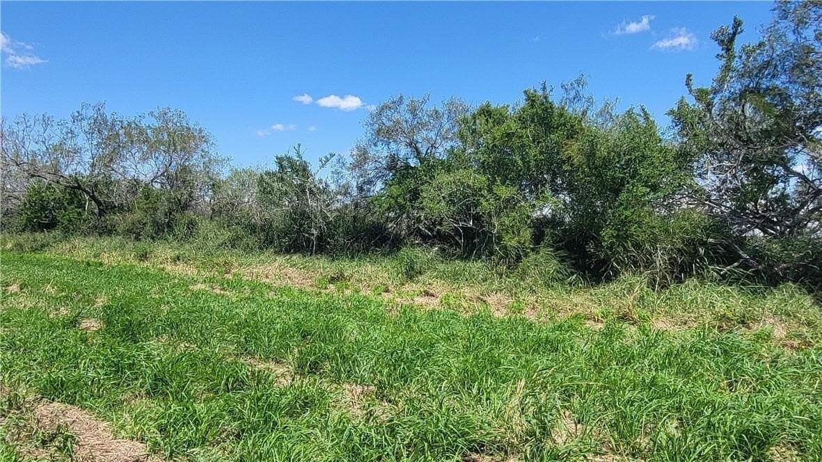 268.51 acres in Brooks County - photo 8