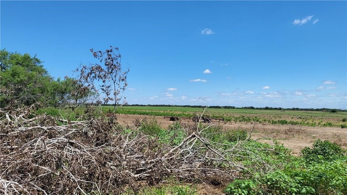 268.51 acres in Brooks County - photo 6