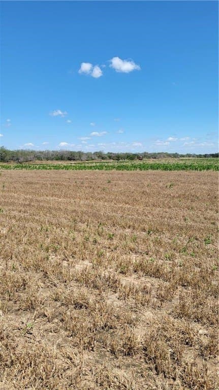 268.51 acres in Brooks County - photo 9