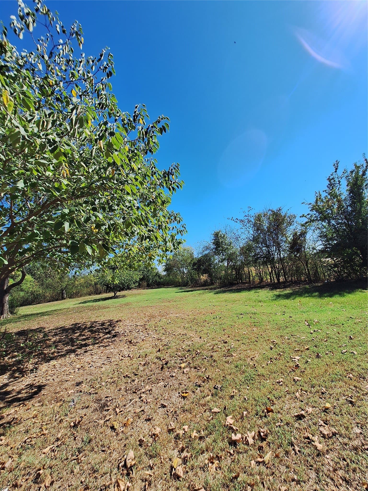 0.17 acres in Hopkins County - photo 3