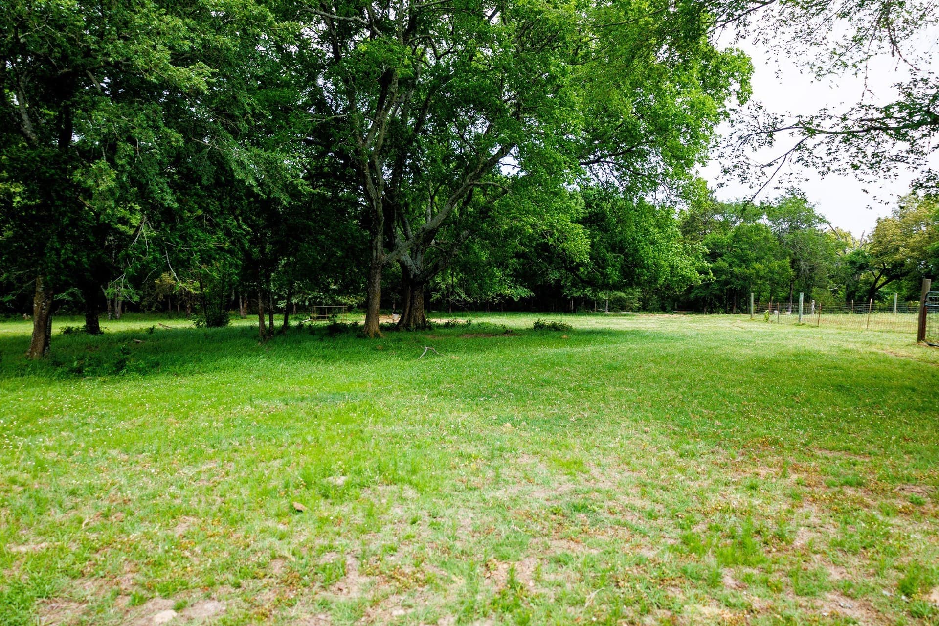 47.79 acres in Van Zandt County - photo 15