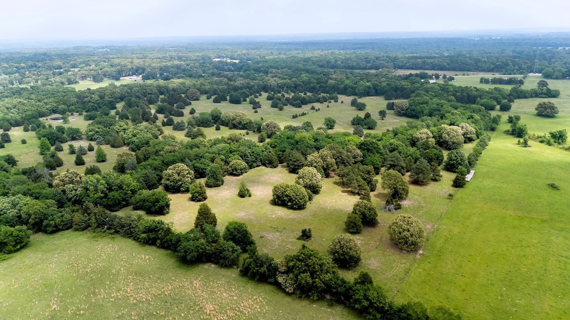47.79 acres in Van Zandt County - photo 14