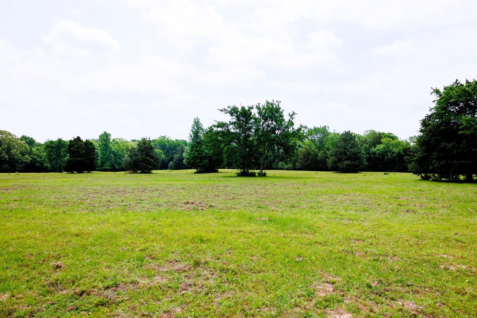 47.79 acres in Van Zandt County - photo 26