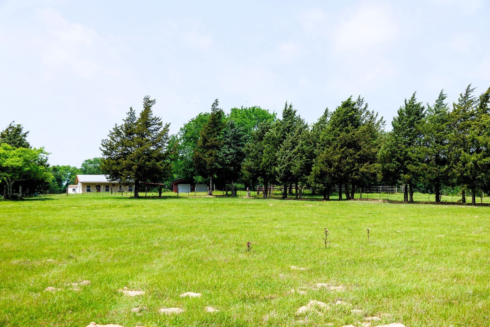 47.79 acres in Van Zandt County - photo 30