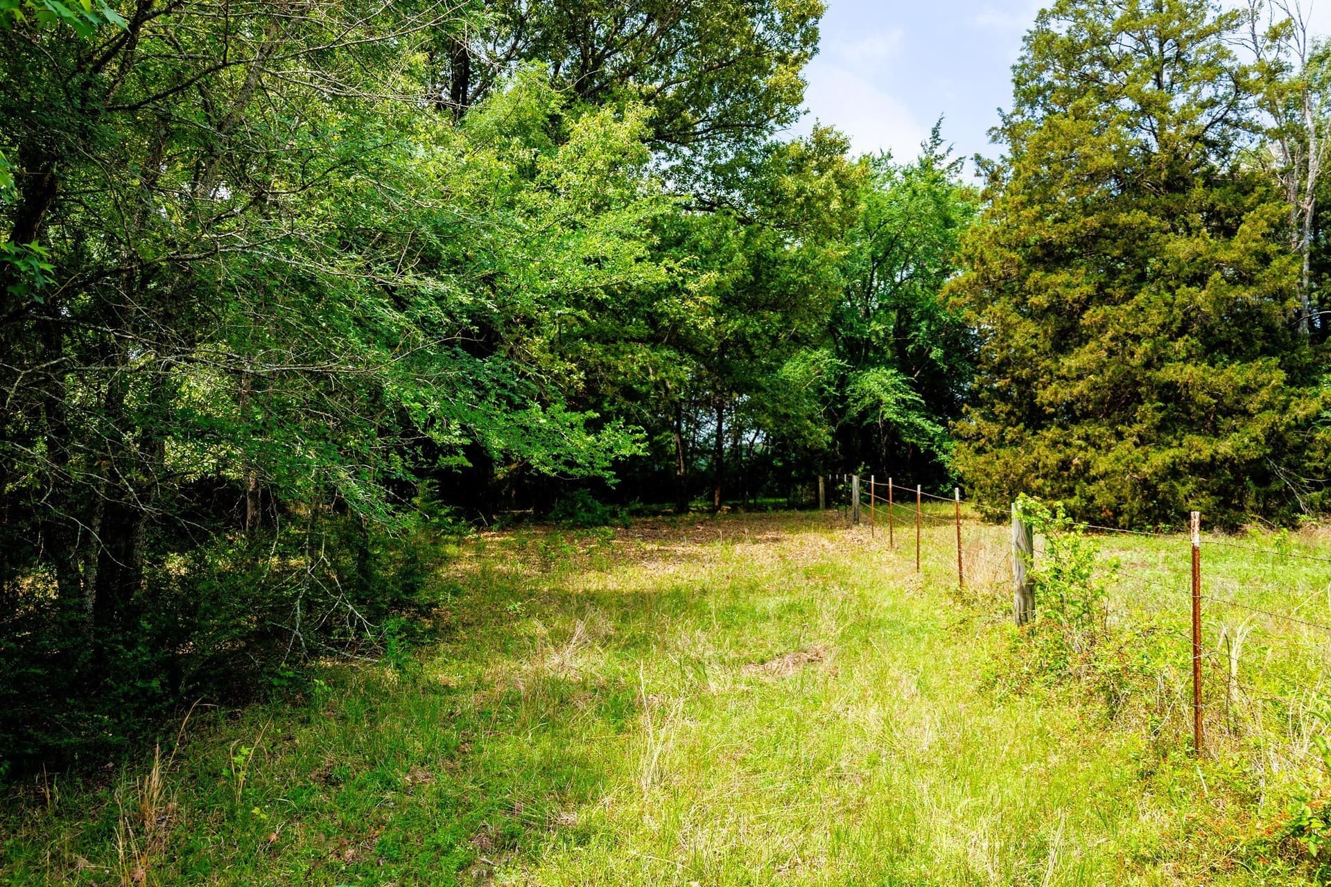 47.79 acres in Van Zandt County - photo 19