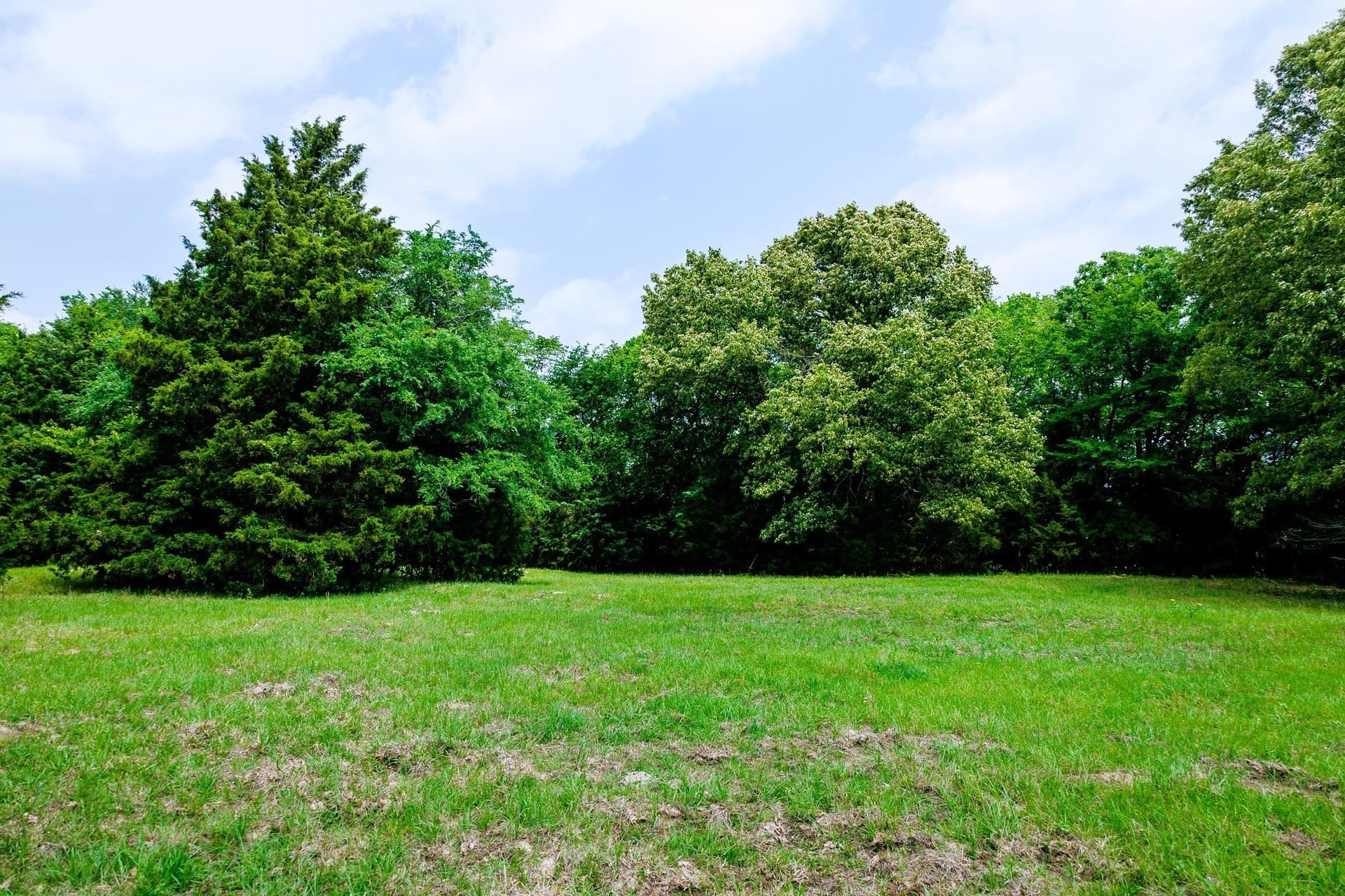 47.79 acres in Van Zandt County - photo 22