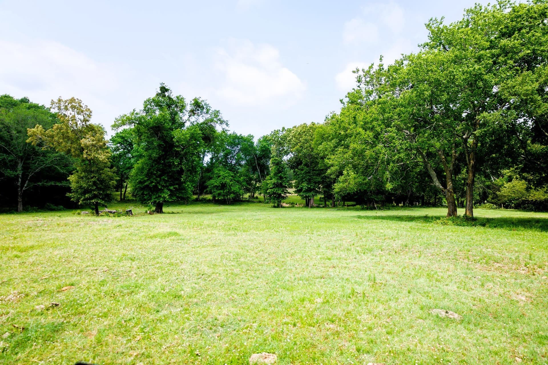 47.79 acres in Van Zandt County - photo 16