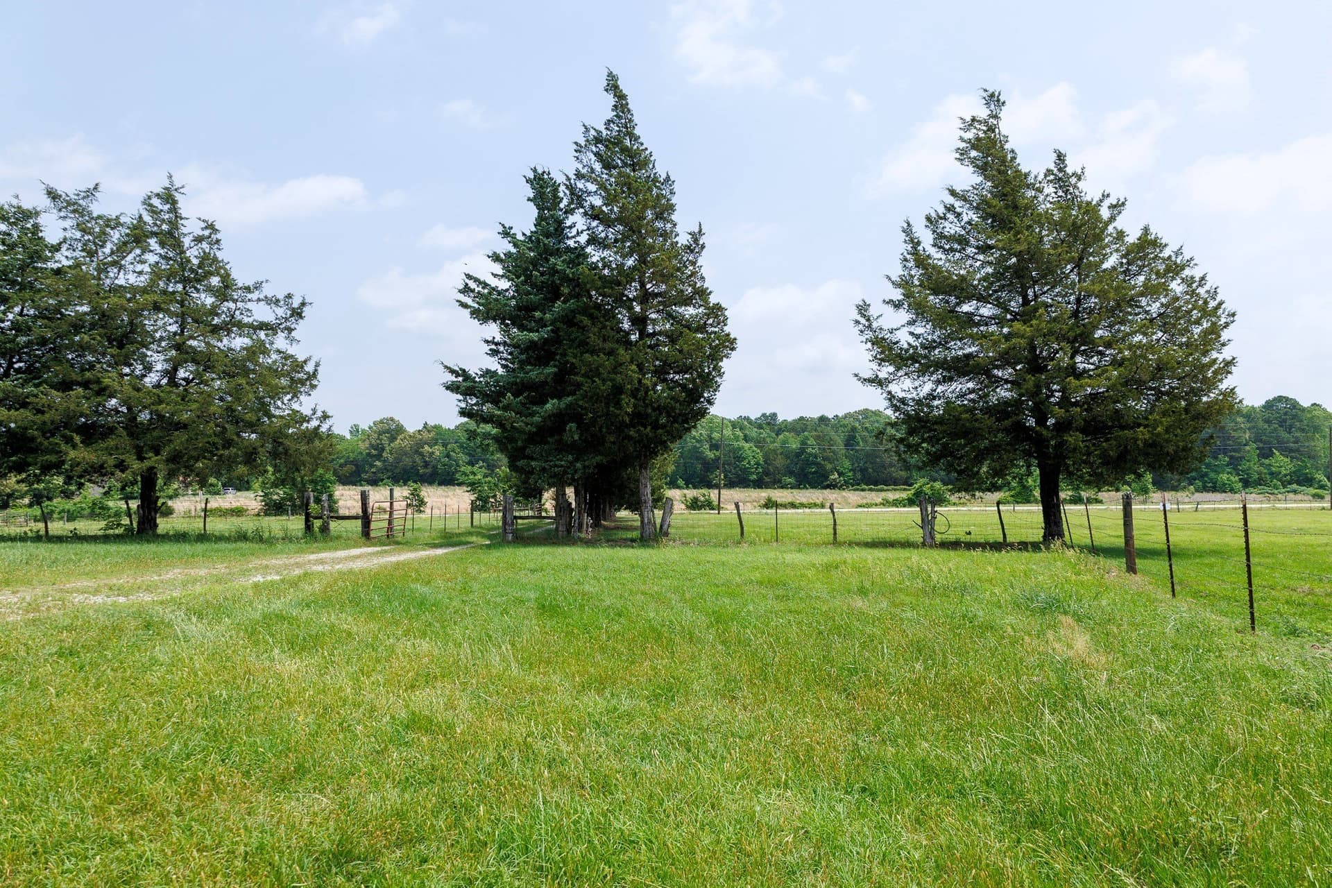 47.79 acres in Van Zandt County - photo 7