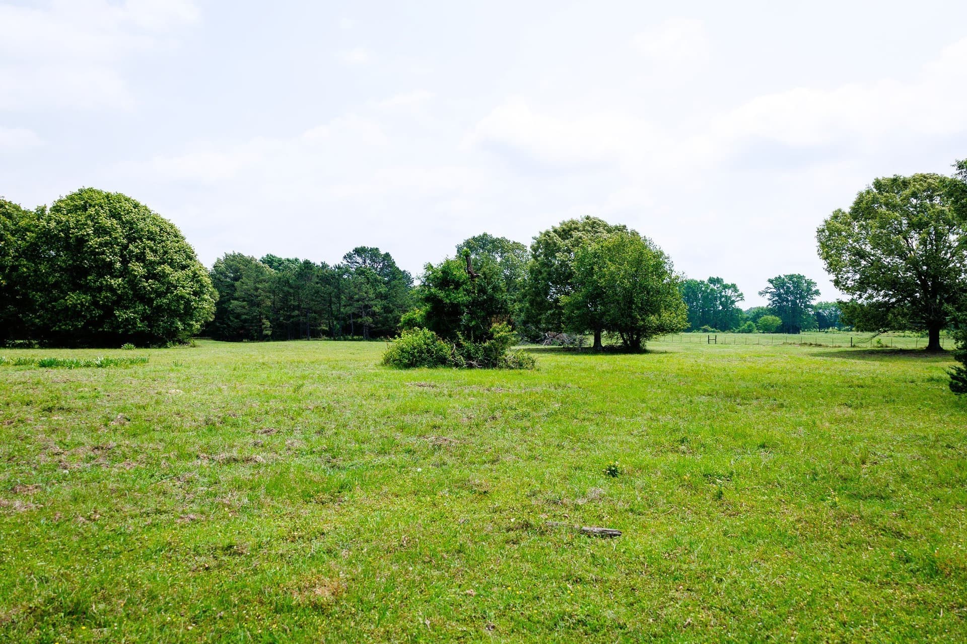 47.79 acres in Van Zandt County - photo 25