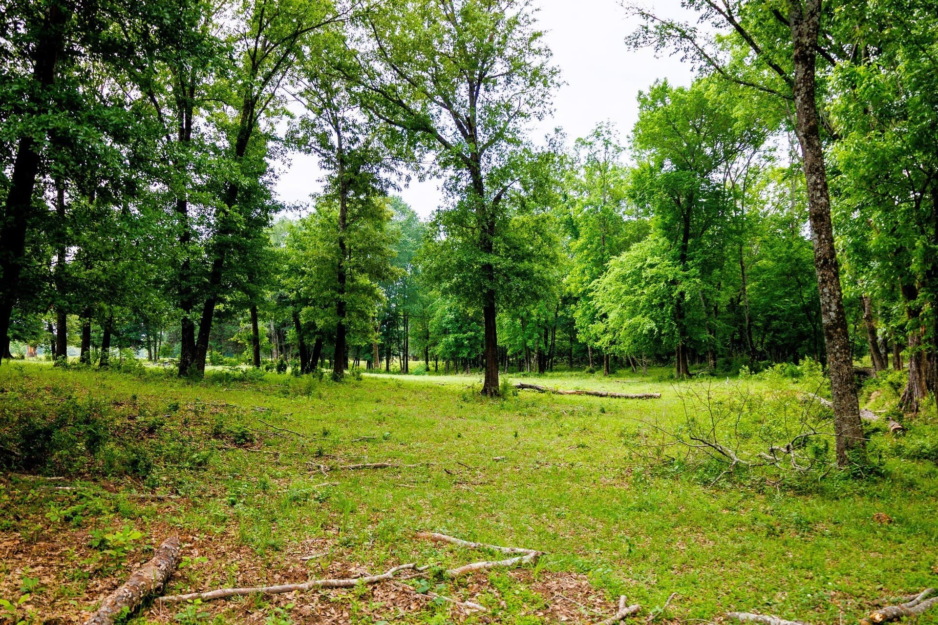 47.79 acres in Van Zandt County - photo 18