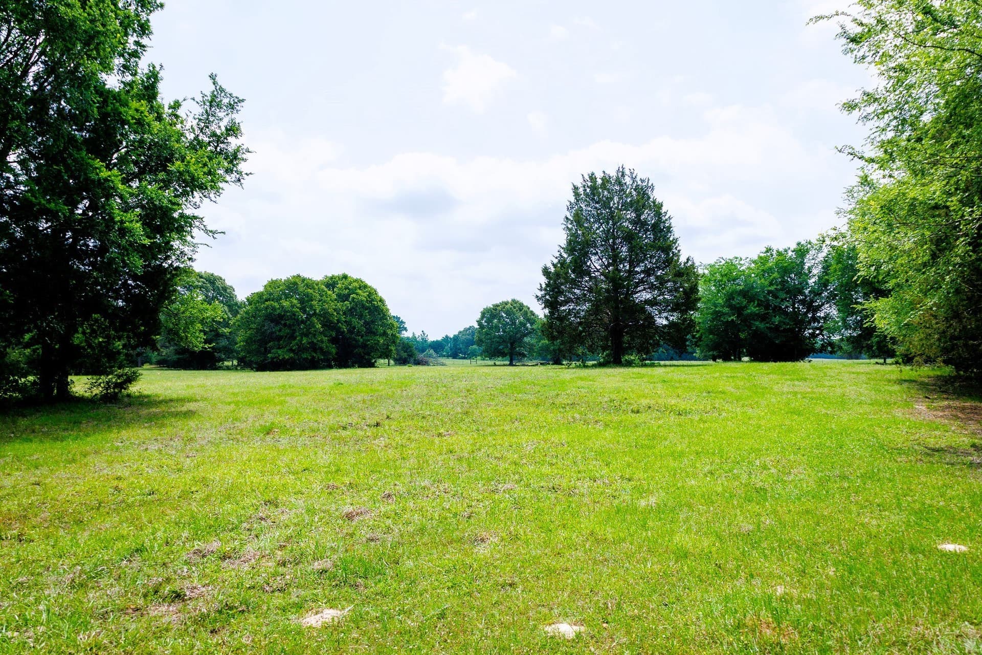 47.79 acres in Van Zandt County - photo 24