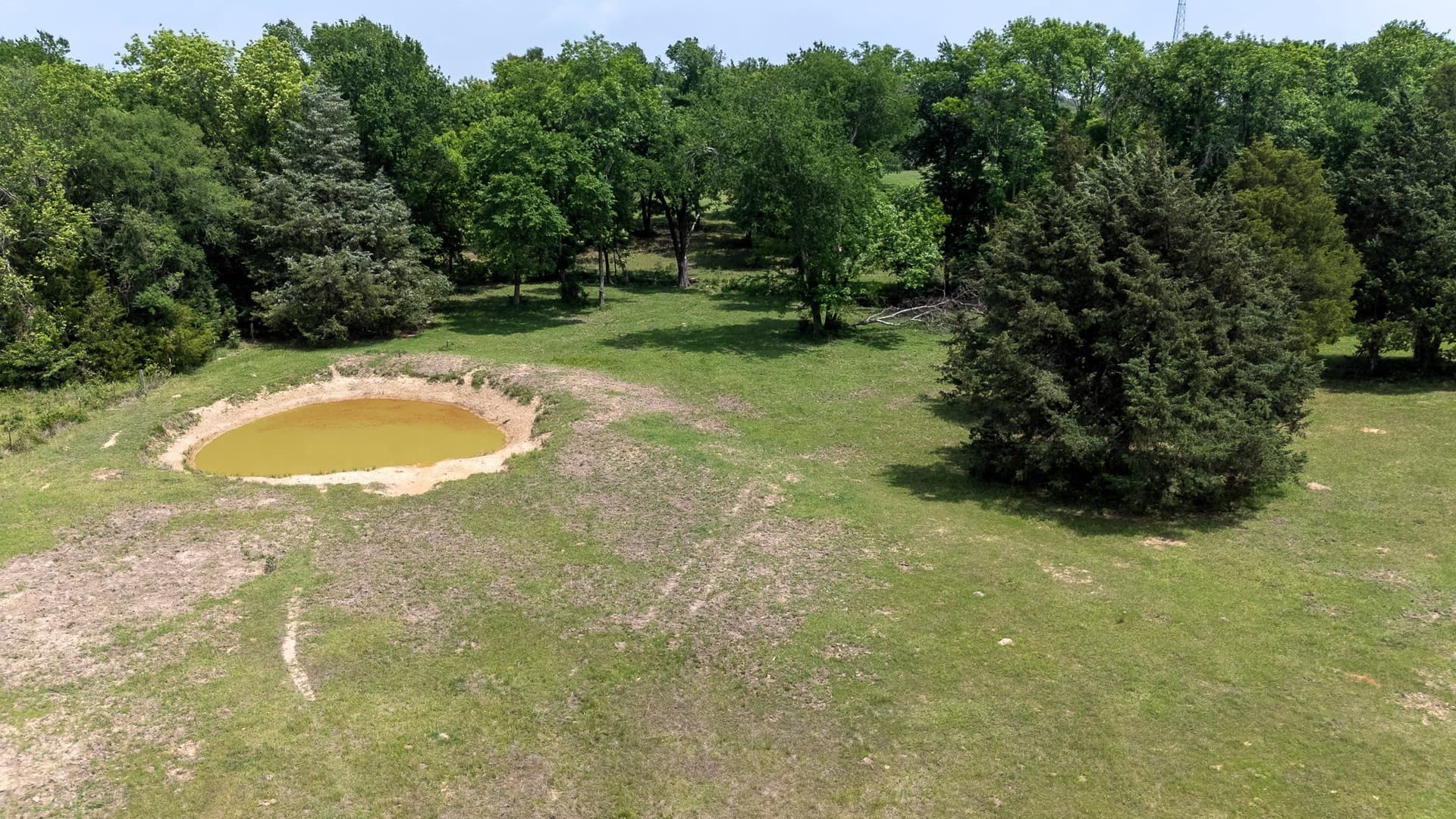47.79 acres in Van Zandt County - photo 6