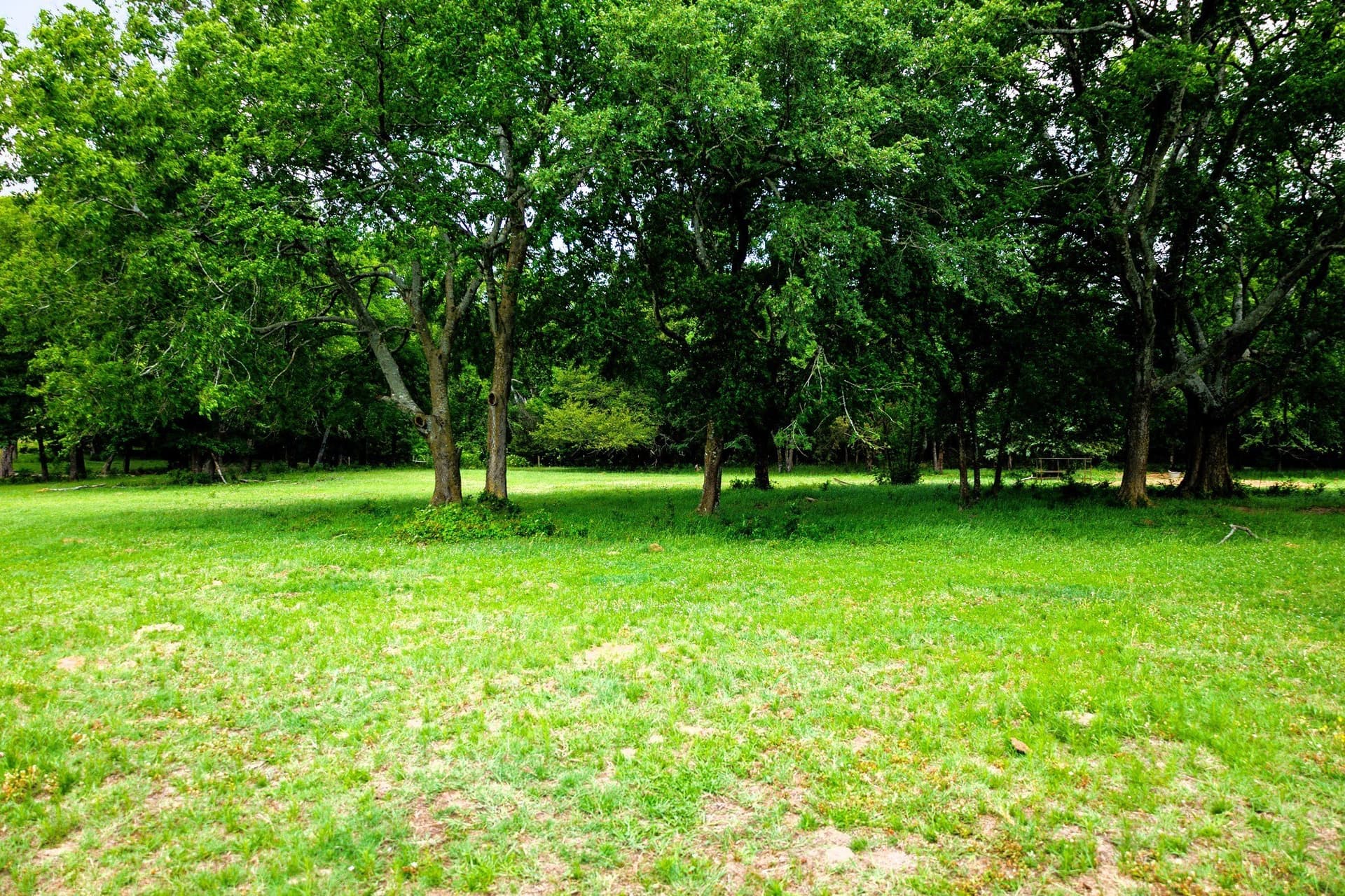 47.79 acres in Van Zandt County - photo 17