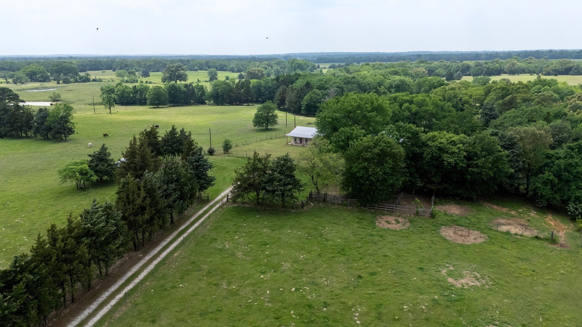 47.79 acres in Van Zandt County - photo 12