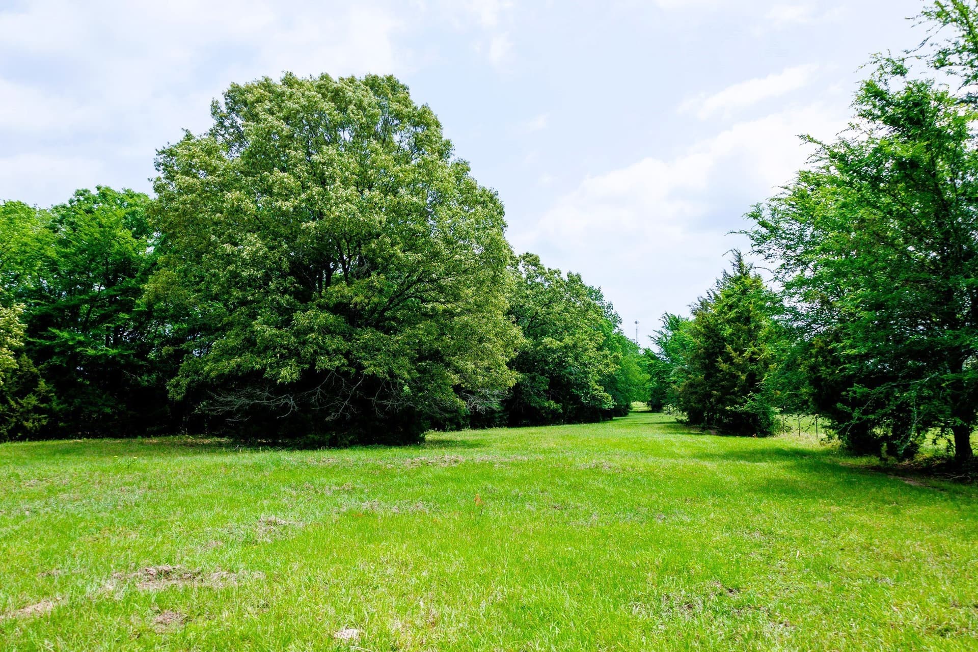 47.79 acres in Van Zandt County - photo 21