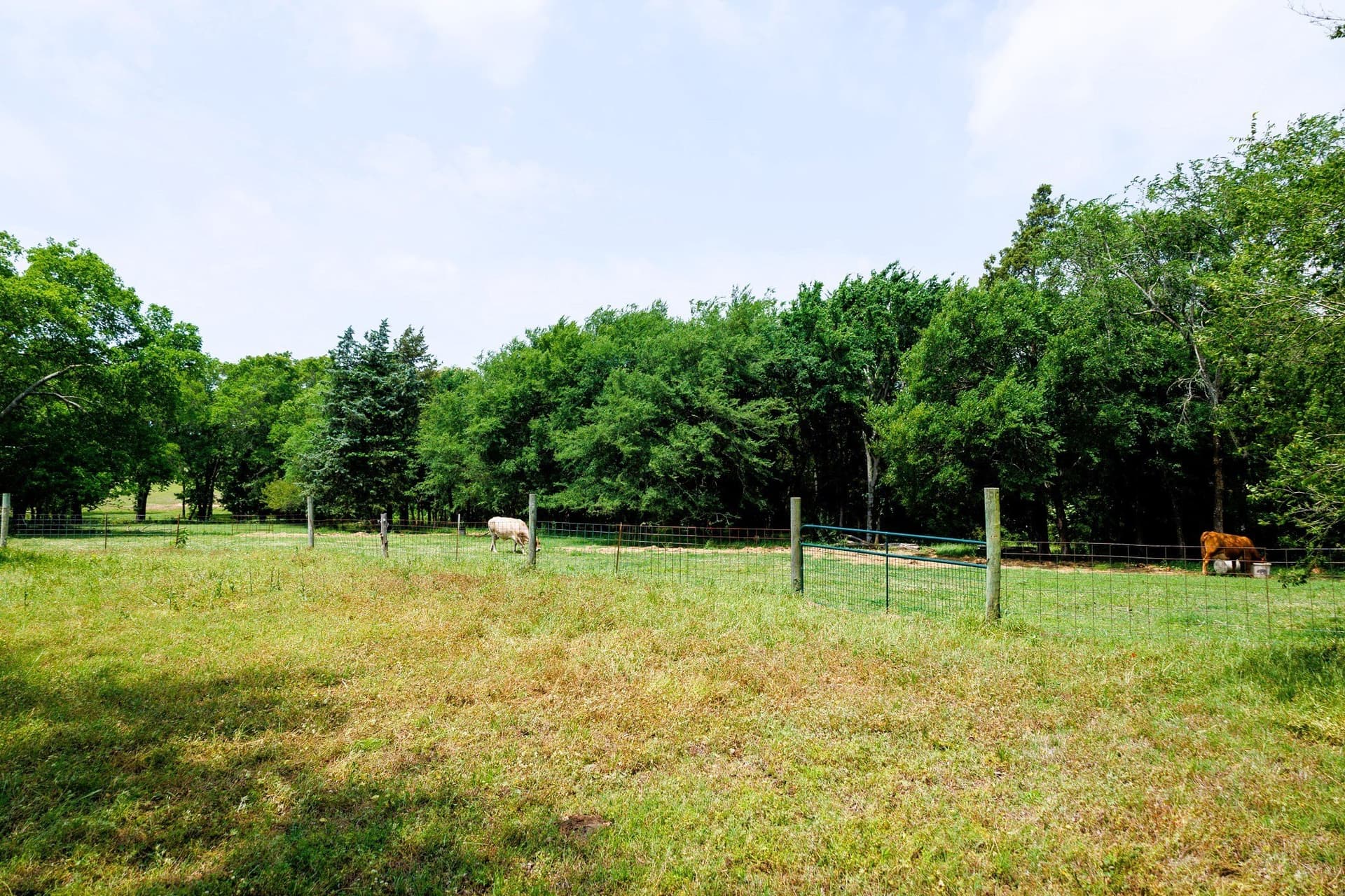 47.79 acres in Van Zandt County - photo 11