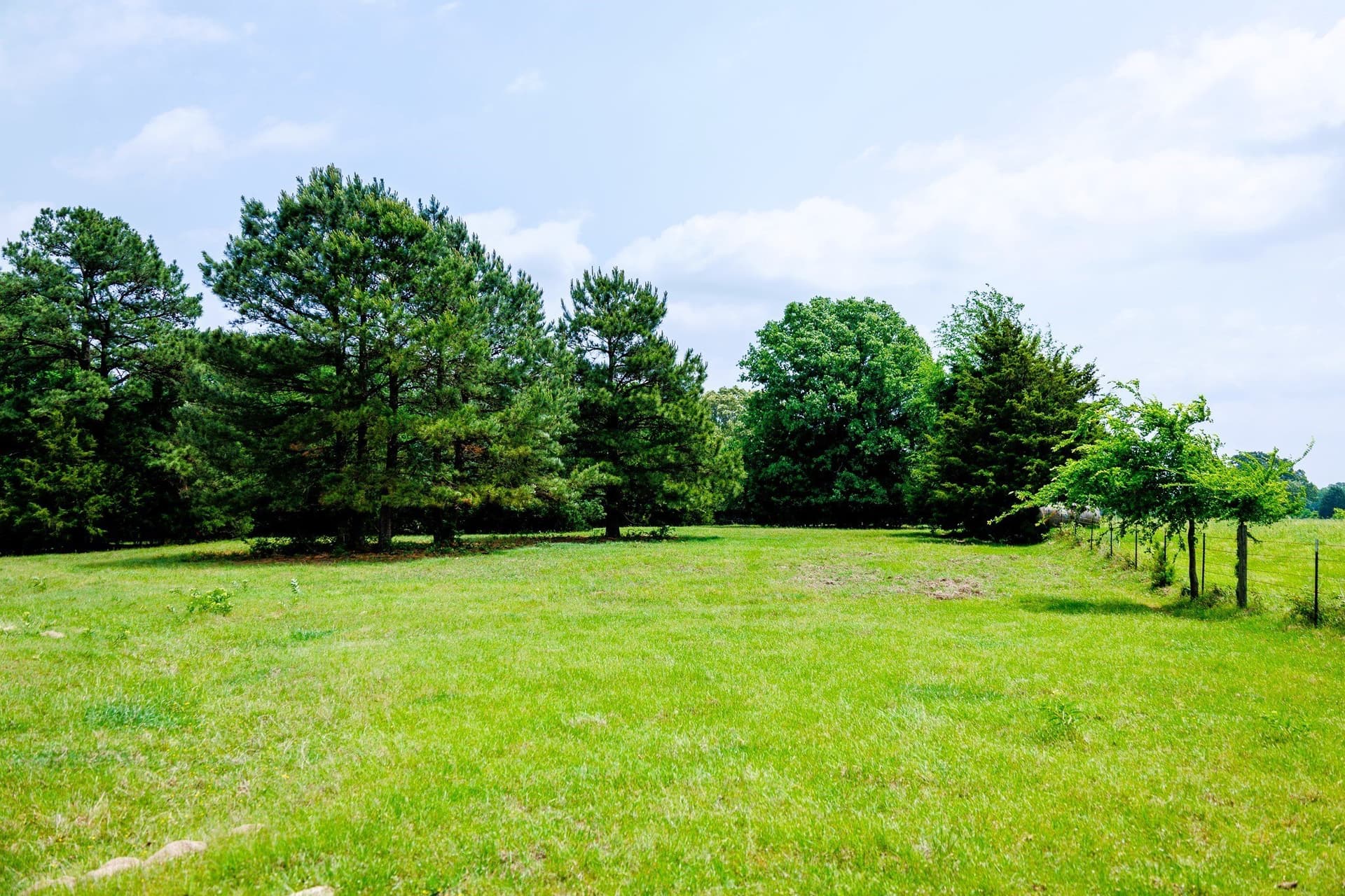47.79 acres in Van Zandt County - photo 20