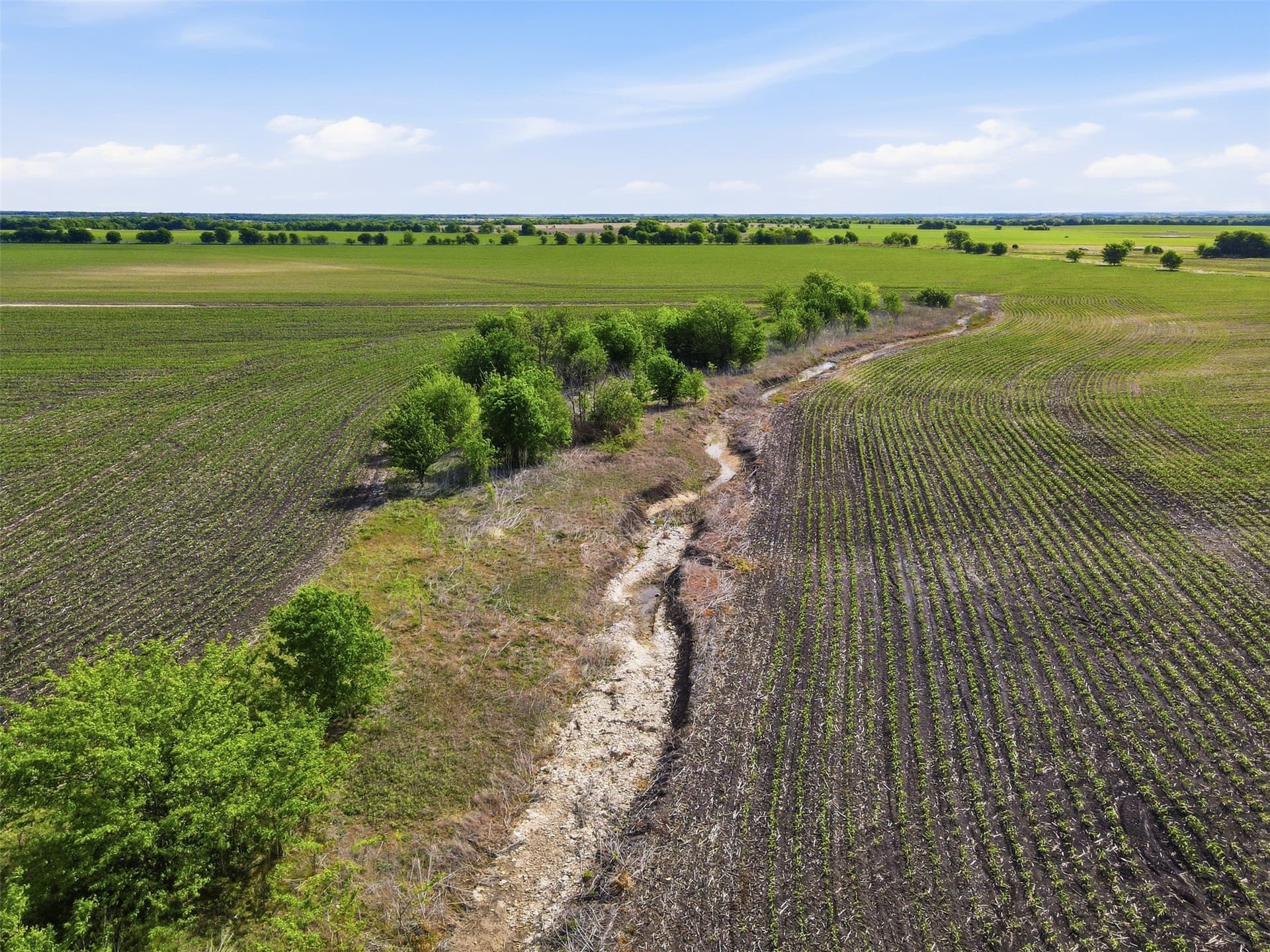34.75 acres in Hill County - photo 12