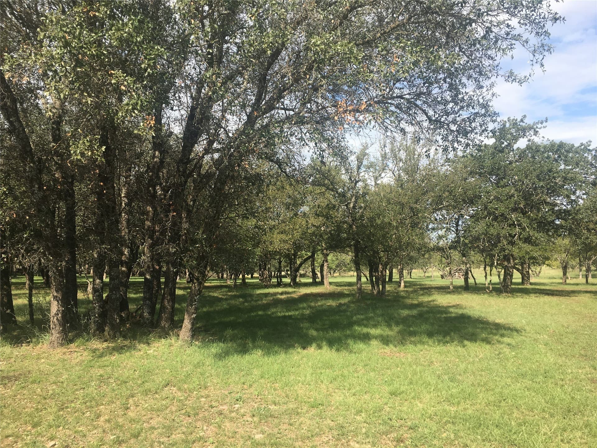 0.58 acres in Brown County gallery image 2