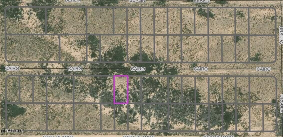 0.5 acres in El Paso County gallery image 2