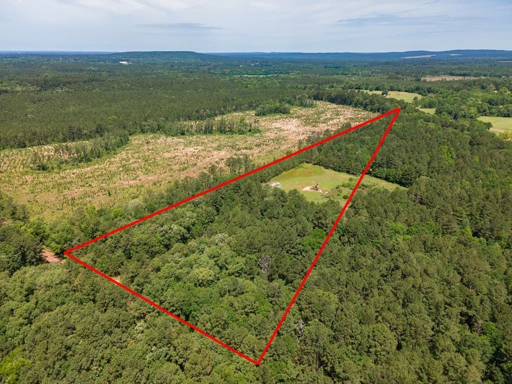 13.07 acres in Nacogdoches County gallery image 3