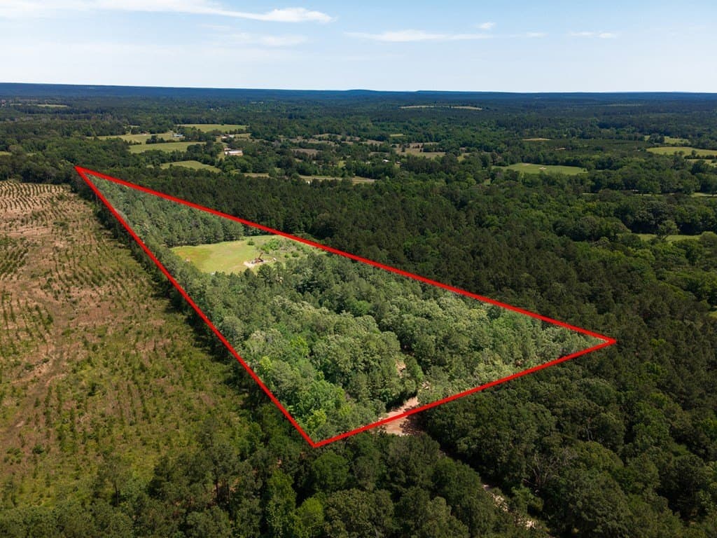 13.07 acres in Nacogdoches County gallery image 4