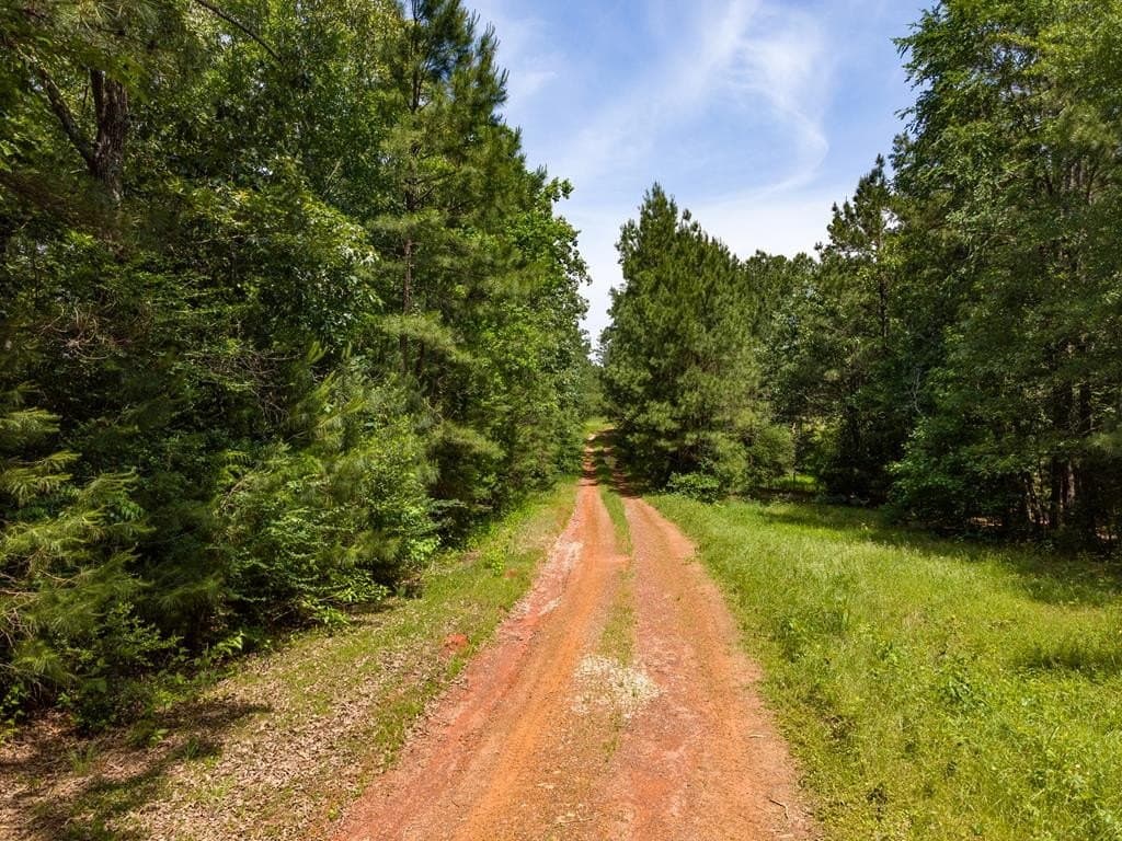 13.07 acres in Nacogdoches County