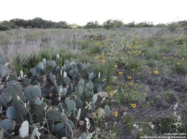 10.71 acres in Atascosa County - photo 9