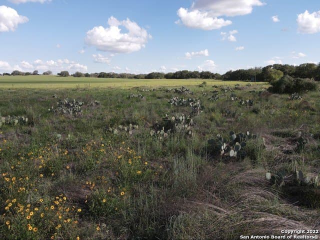 10.71 acres in Atascosa County - photo 10
