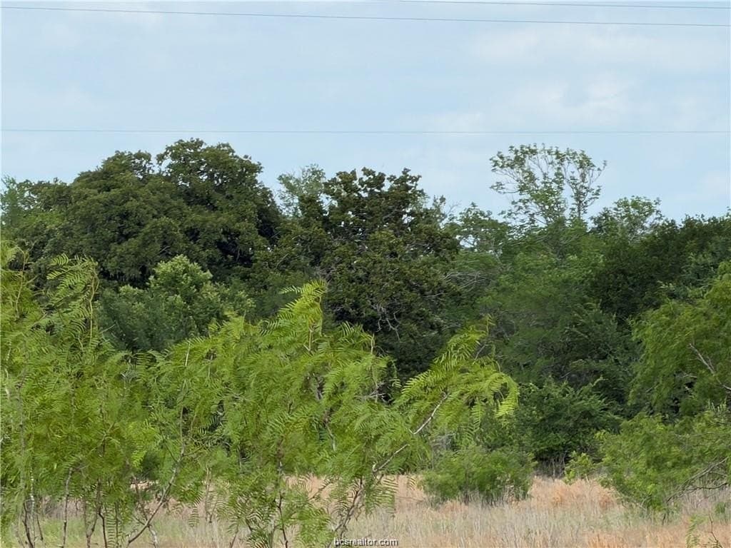 1.71 acres in Brazos County - photo 5