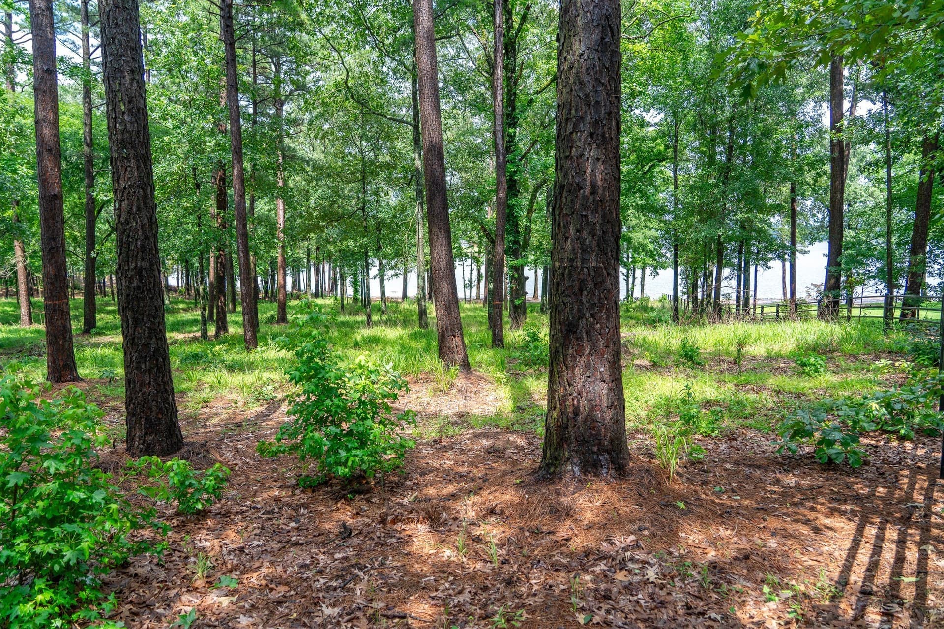 1.66 acres in Franklin (TX) County - photo 27