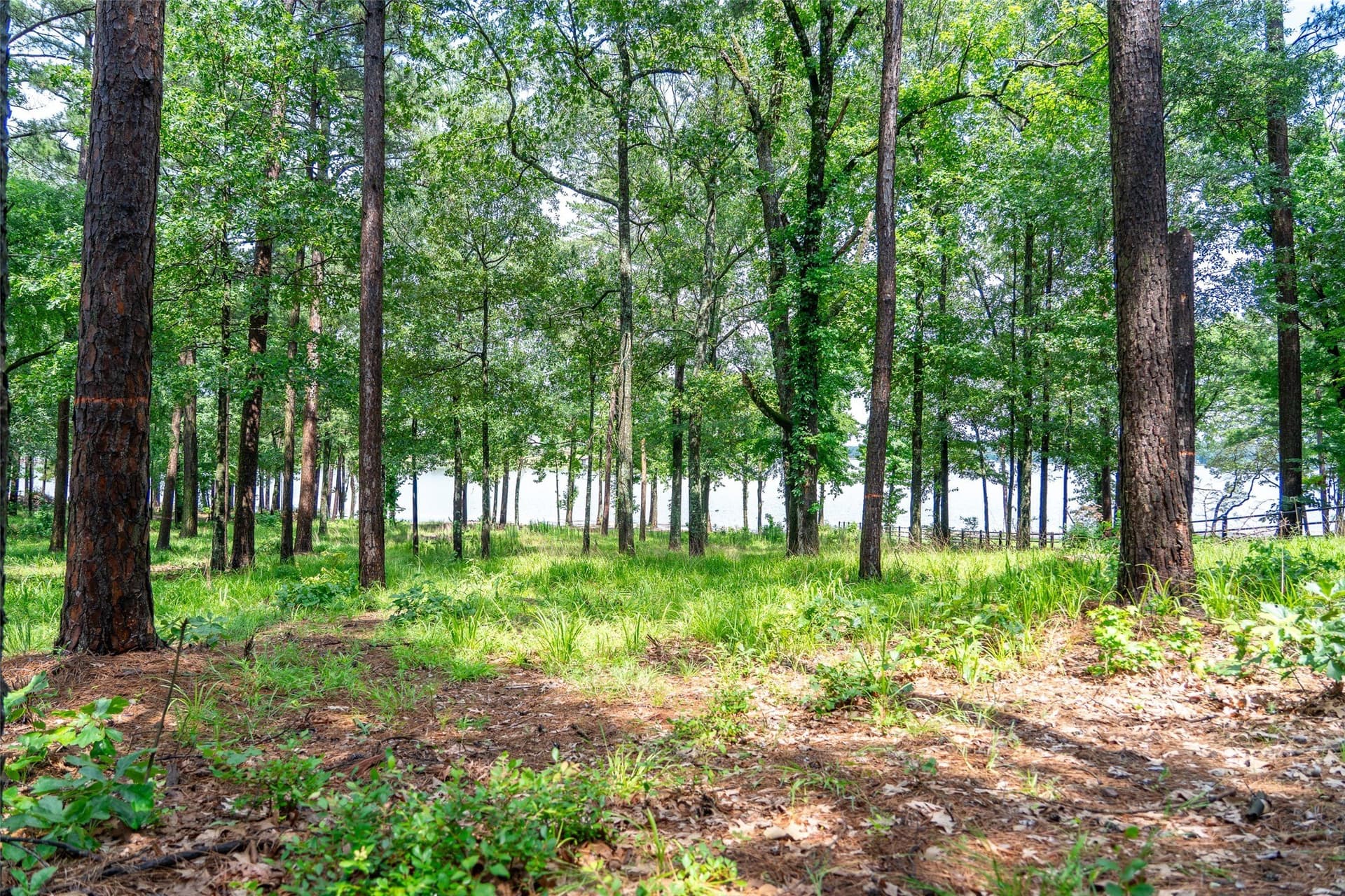 1.66 acres in Franklin (TX) County - photo 31