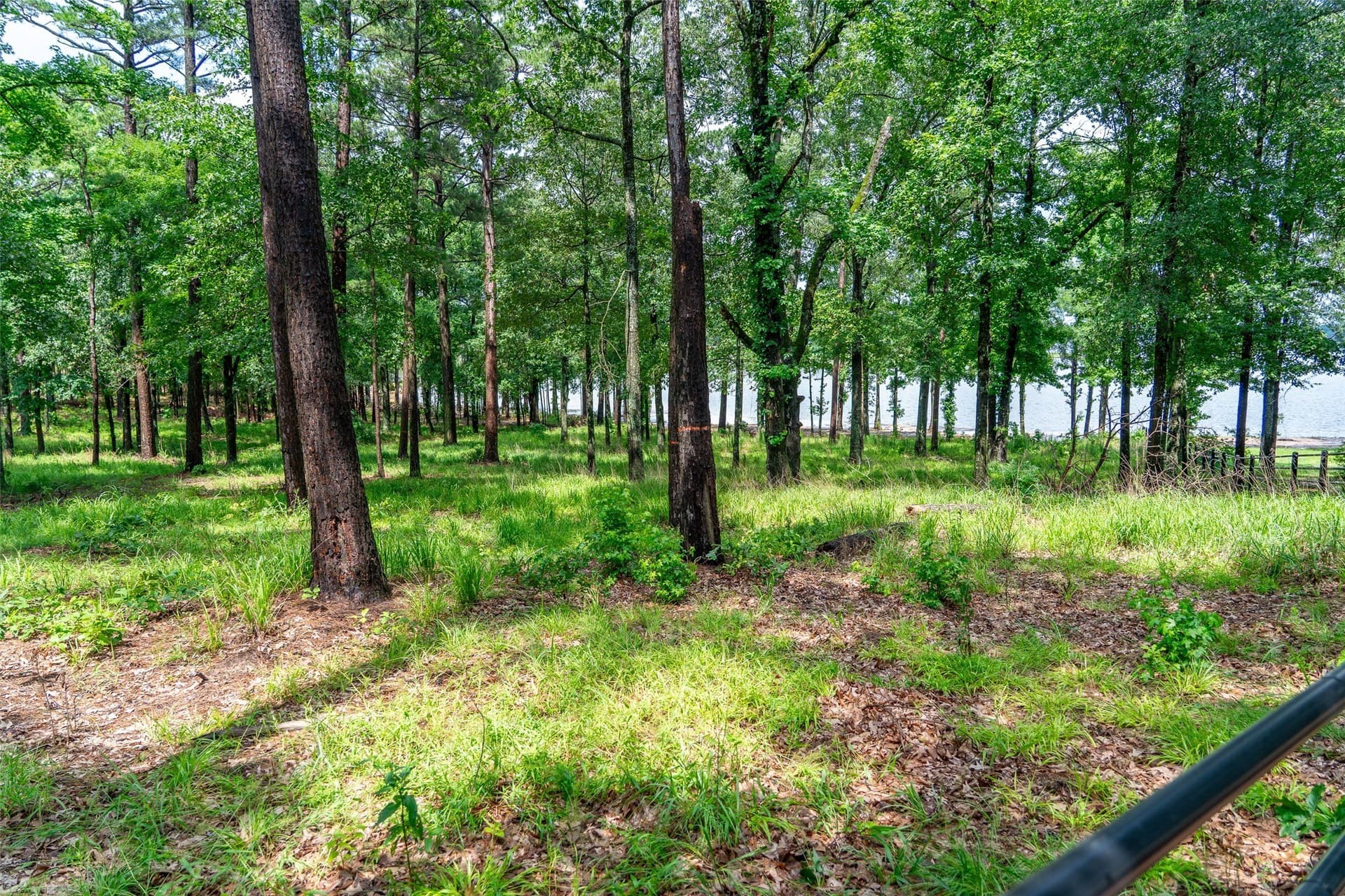 1.66 acres in Franklin (TX) County - photo 26