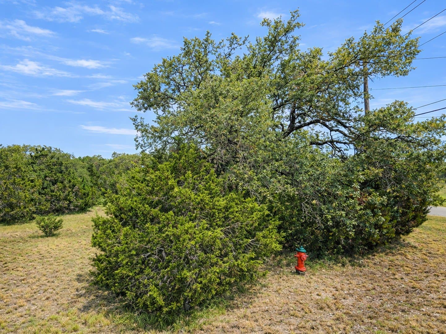 6.08 acres in Comal County - photo 5