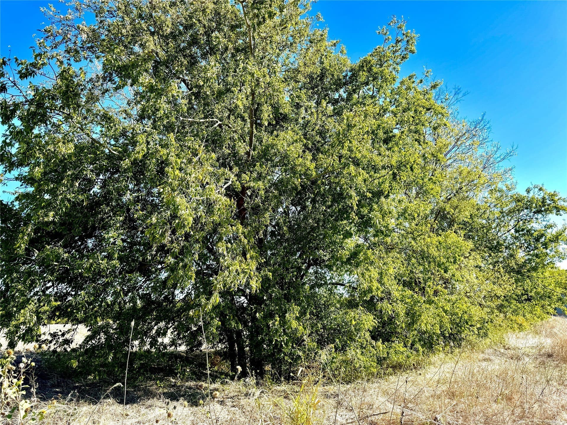 1.5 acres in Collin County - photo 2