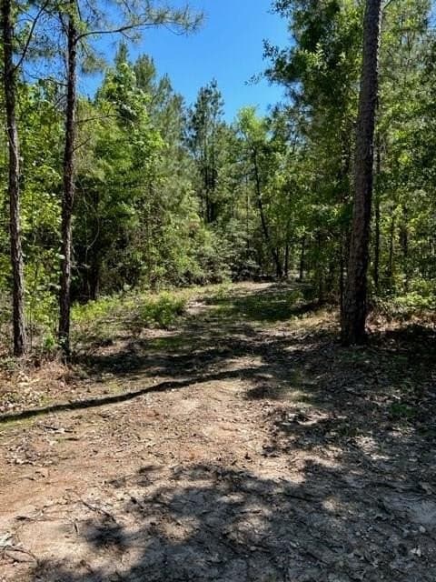 2 acres in Texas County