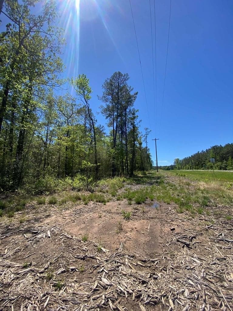 2 acres in Texas County - photo 6