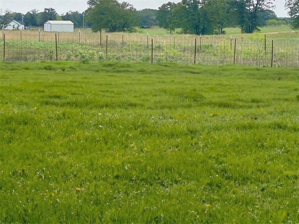 1 acres in Bastrop County - photo 6