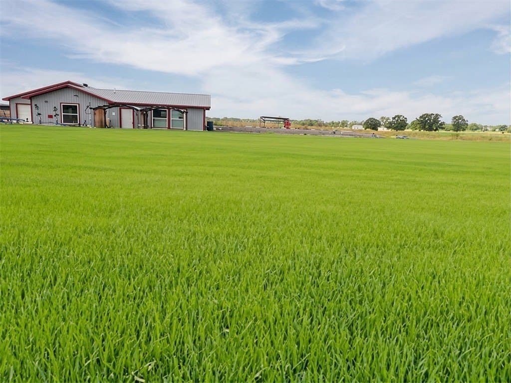 1 acres in Bastrop County gallery image 3