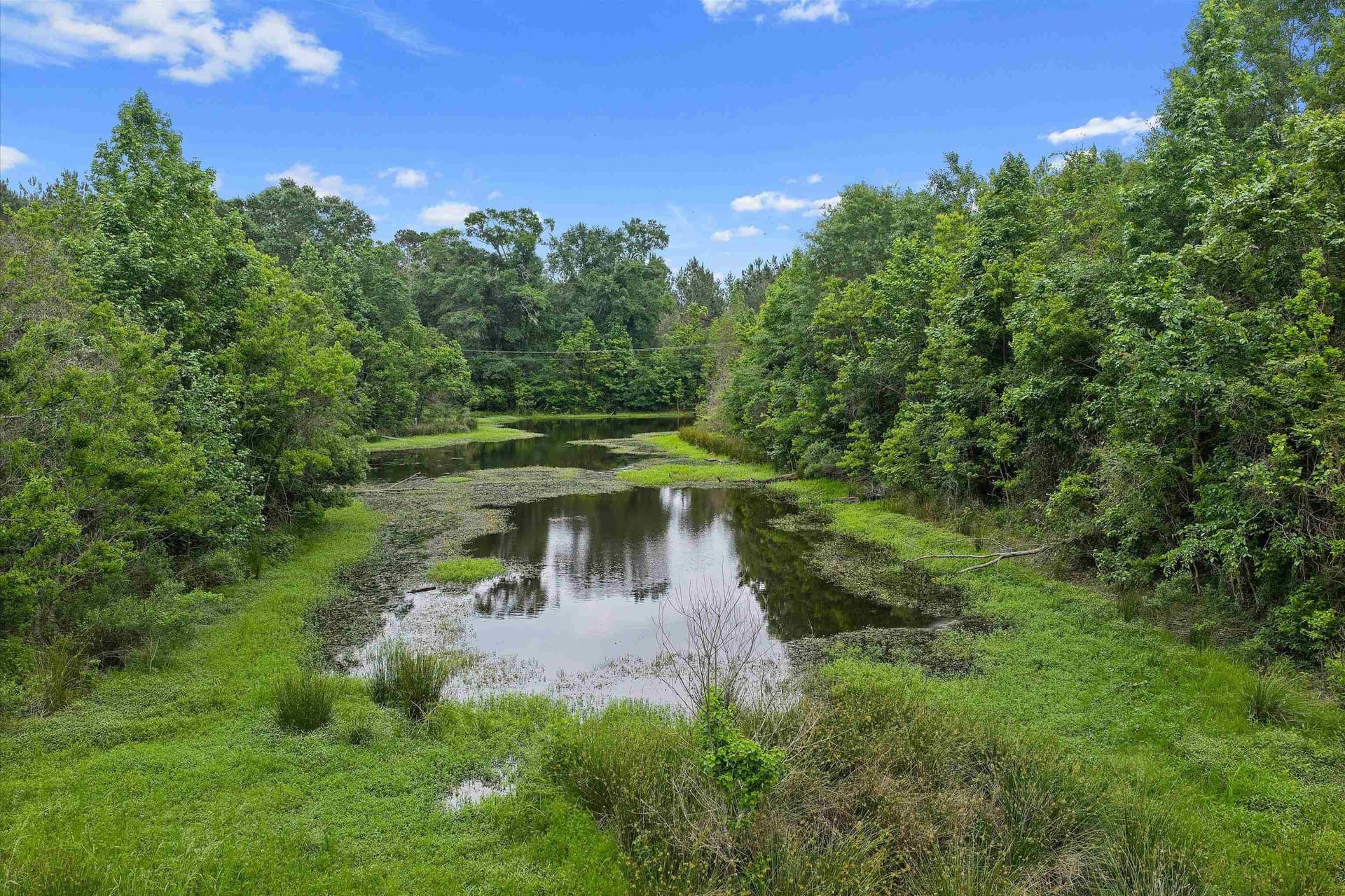 64.27 acres in Shelby County featured view