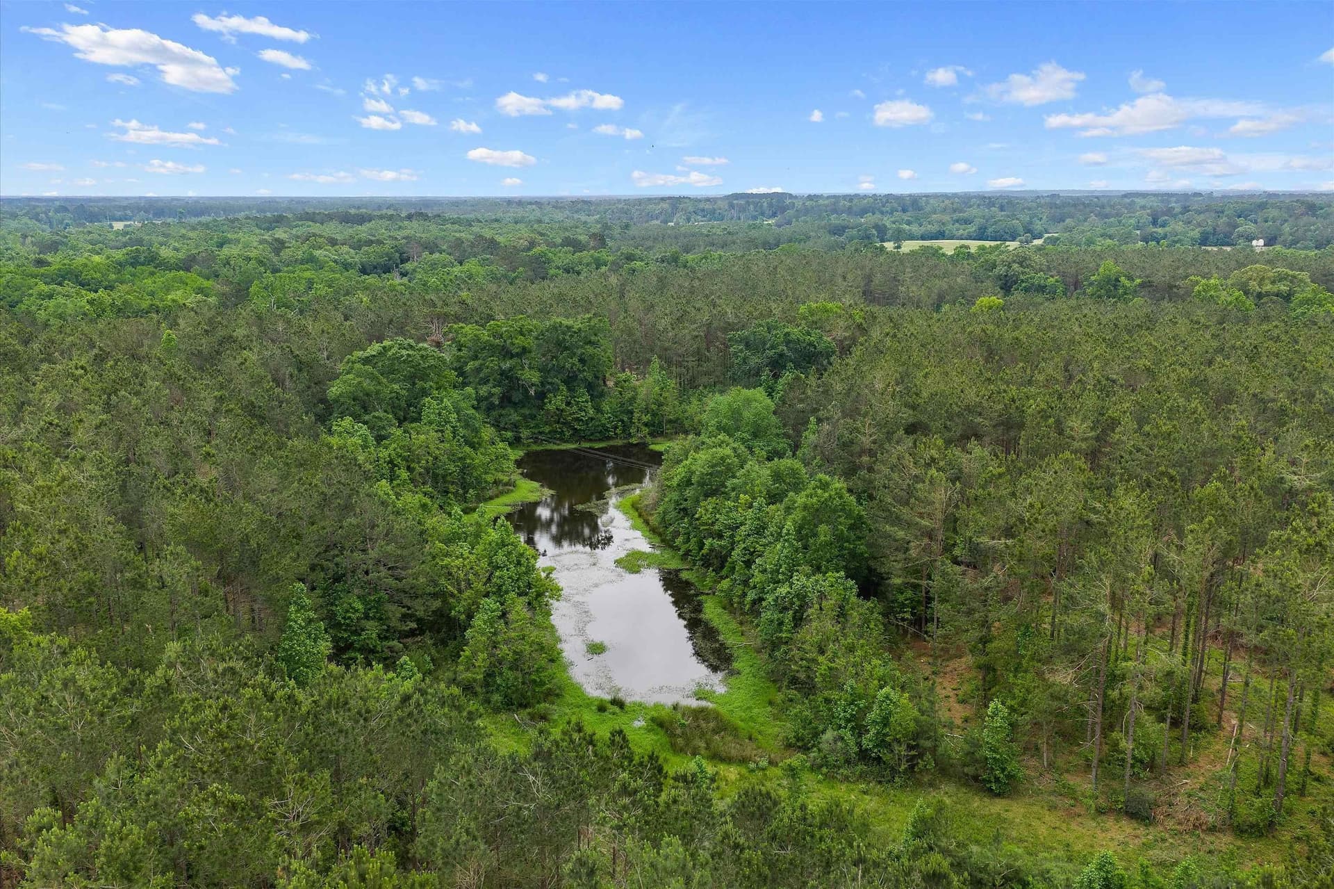 64.27 acres in Shelby County gallery image 4